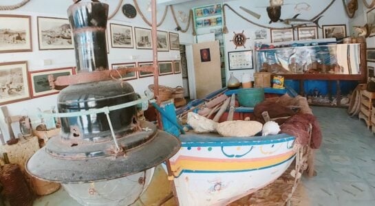 Le musée de l’anchois à Aspra, un lieu à savourer …