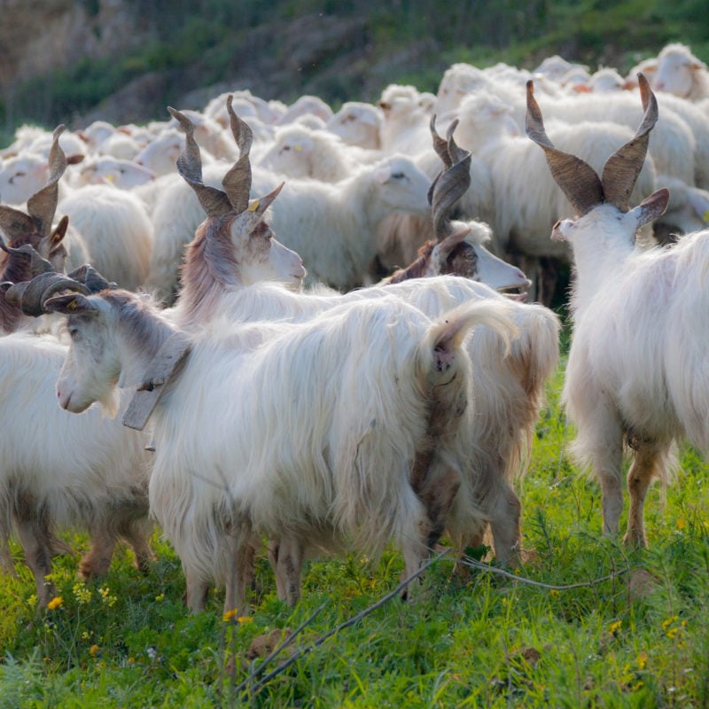 The Splendors of Southern Sicily