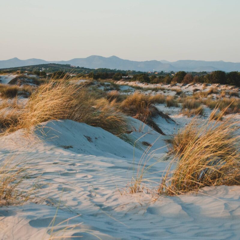 Les alentours d’Alghero