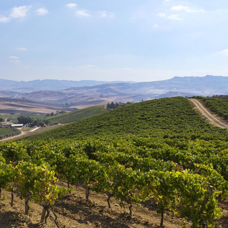 Regaleali Estate and around